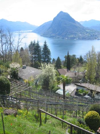Lugano 024.jpg   42kb   26.03.2021 22:20:52
